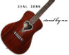 GUITAR seal song heart